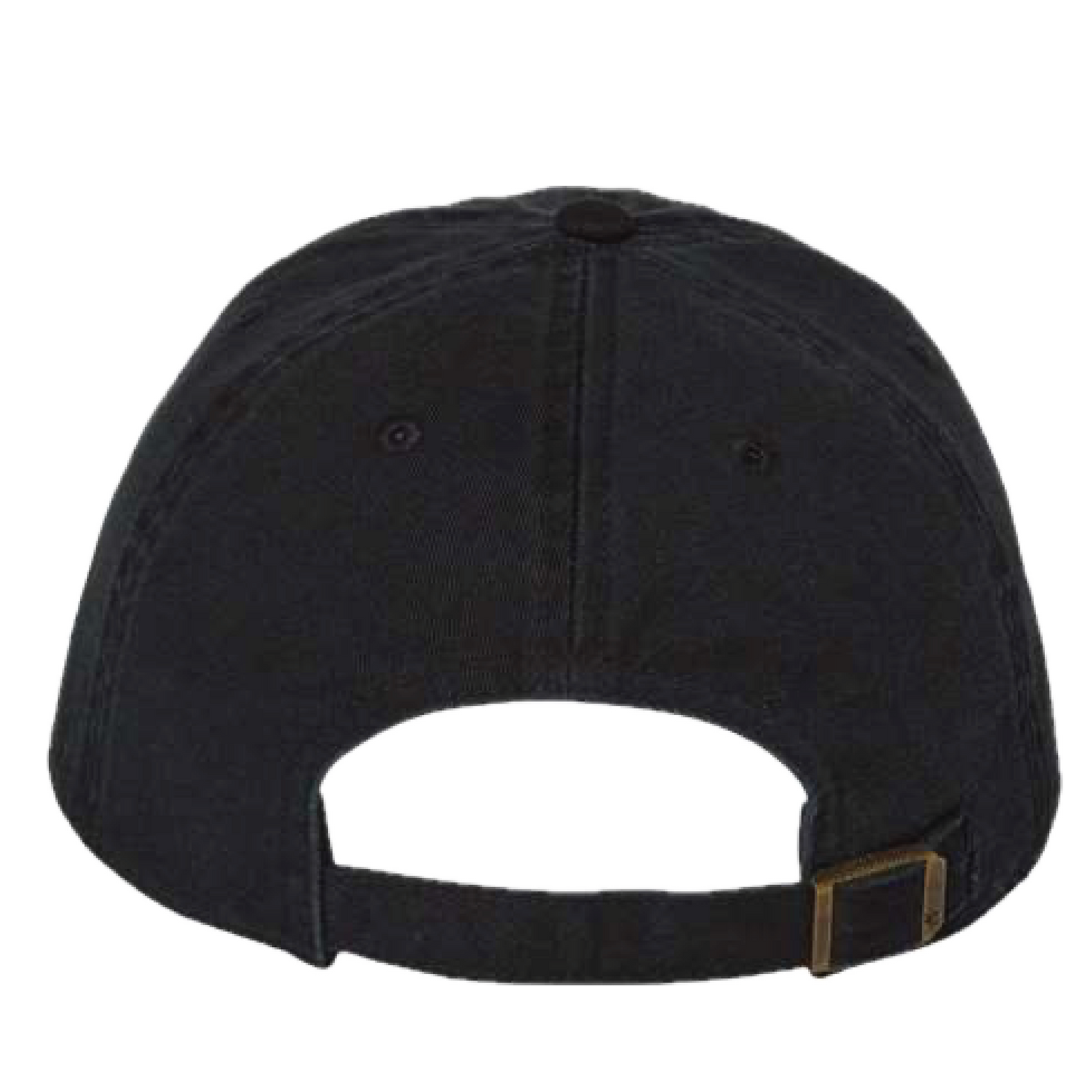 The Lion and the Sun Dad Hat