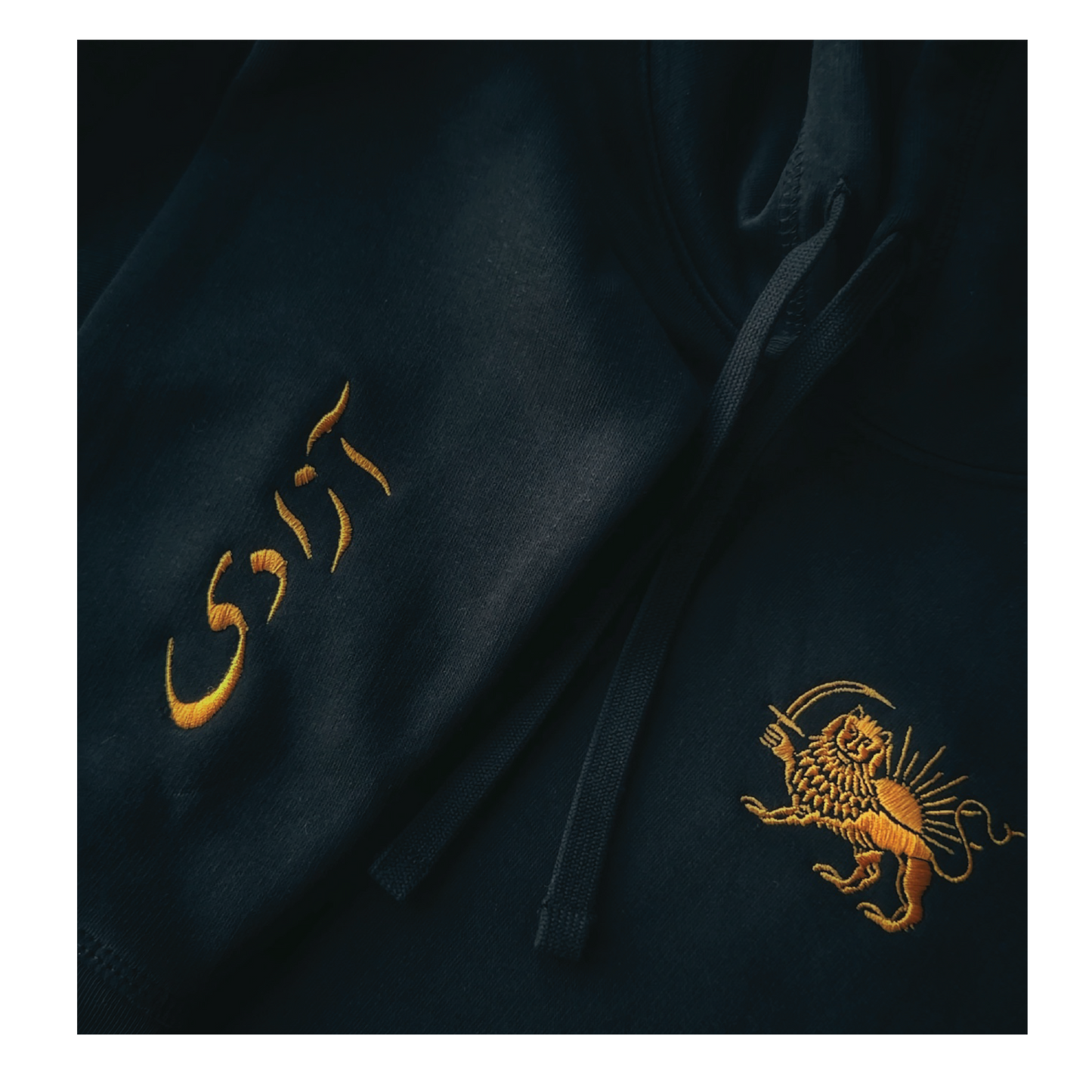 The Lion and the Sun Embroidered Fitted Hoodie