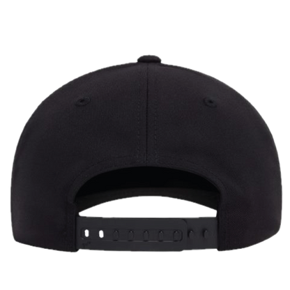 The Lion and the Sun Baseball Hat