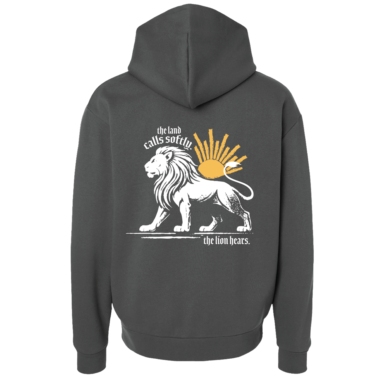 The Lion and the Sun Oversized Hoodie